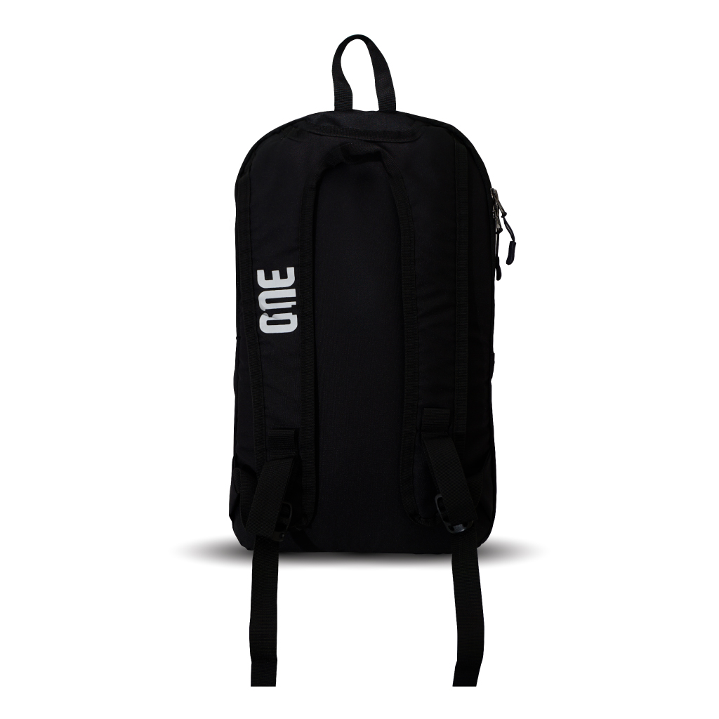 1st image description