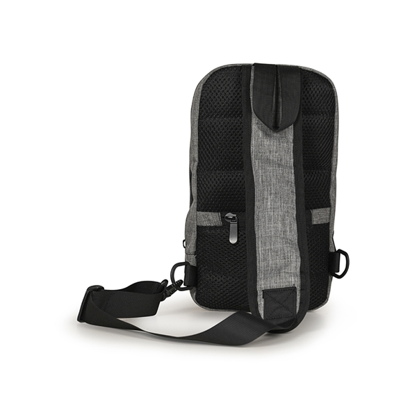 1st image description