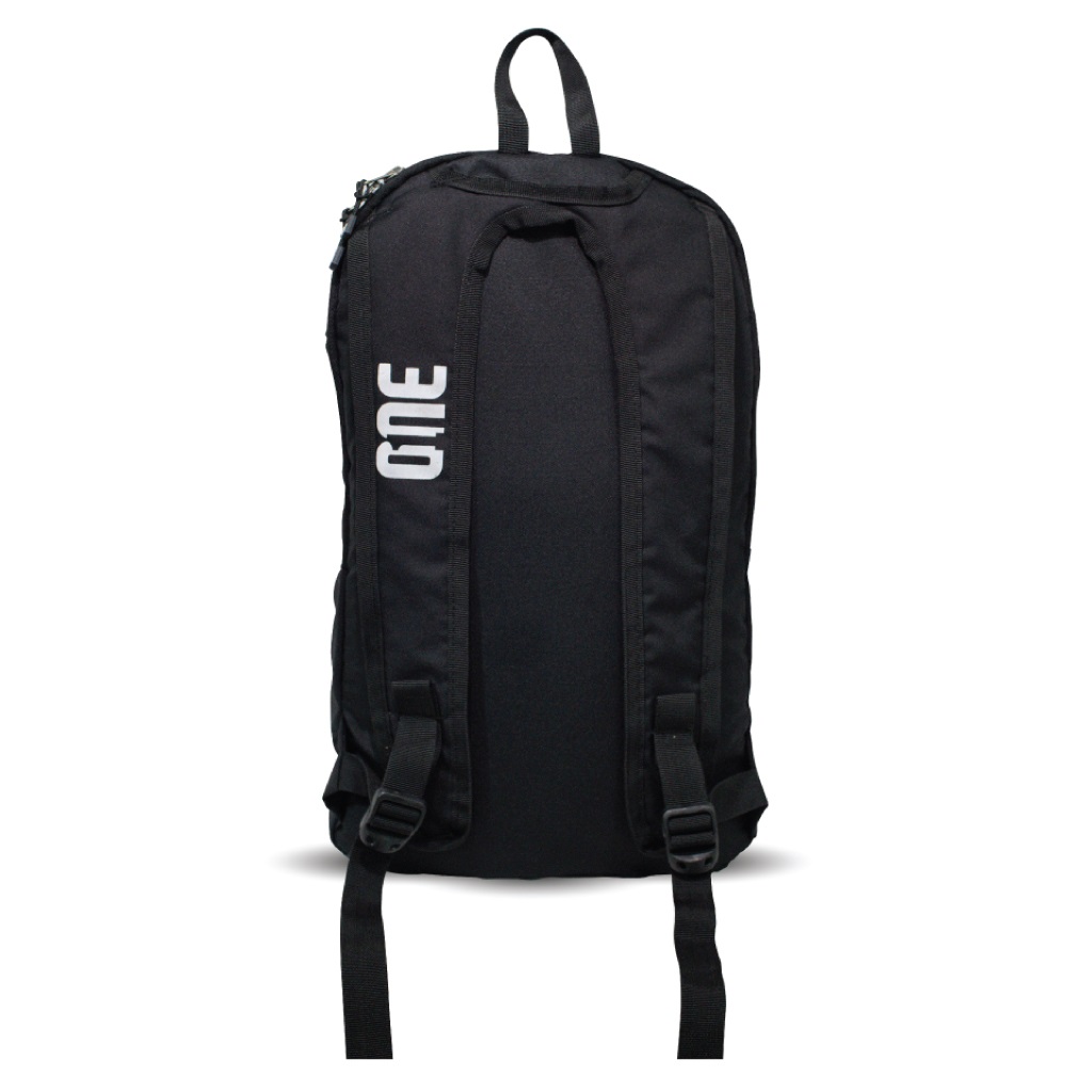 1st image description