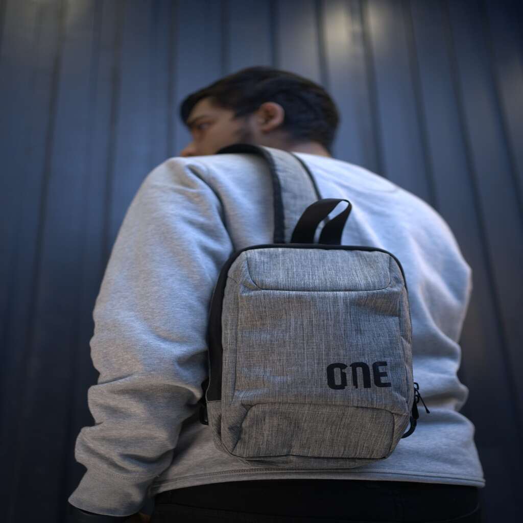 1st image description